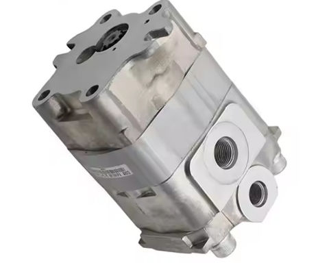پمپ دنده های هیدرولیک حفاری 290-3628 2903628 برای مینی حفاری E305 CAT3055
